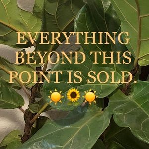 Everything beyond this point is SOLD.